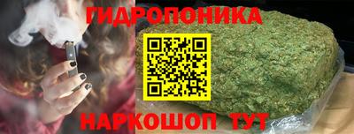 прущие грибы Лесосибирск