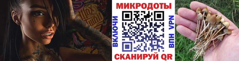 где продают наркотики  Урюпинск  Псилоцибиновые грибы Magic Shrooms 